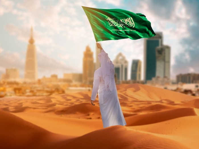 Saudi arabia take stock spending priorities after oil revenue drop ft reports