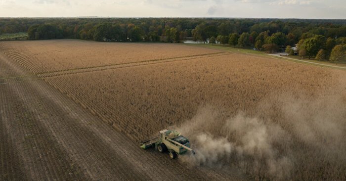 Trump’s Tariffs Hurt U.S. Jobs but Swayed American Voters, Study Says ... Us tariff policy could cost germany 90000 jobs within year says labour office