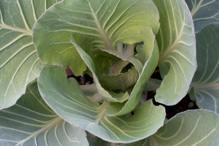 Department store chain kohls quarterly loss smaller than expected