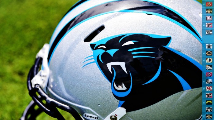 Carolina Panthers Logo Wallpaper (59+ images) Panthers hope use 1 0 final deficit their advantage vs oilers