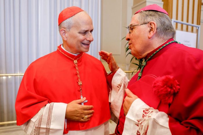 Cardinal elects pope leo robert prevost