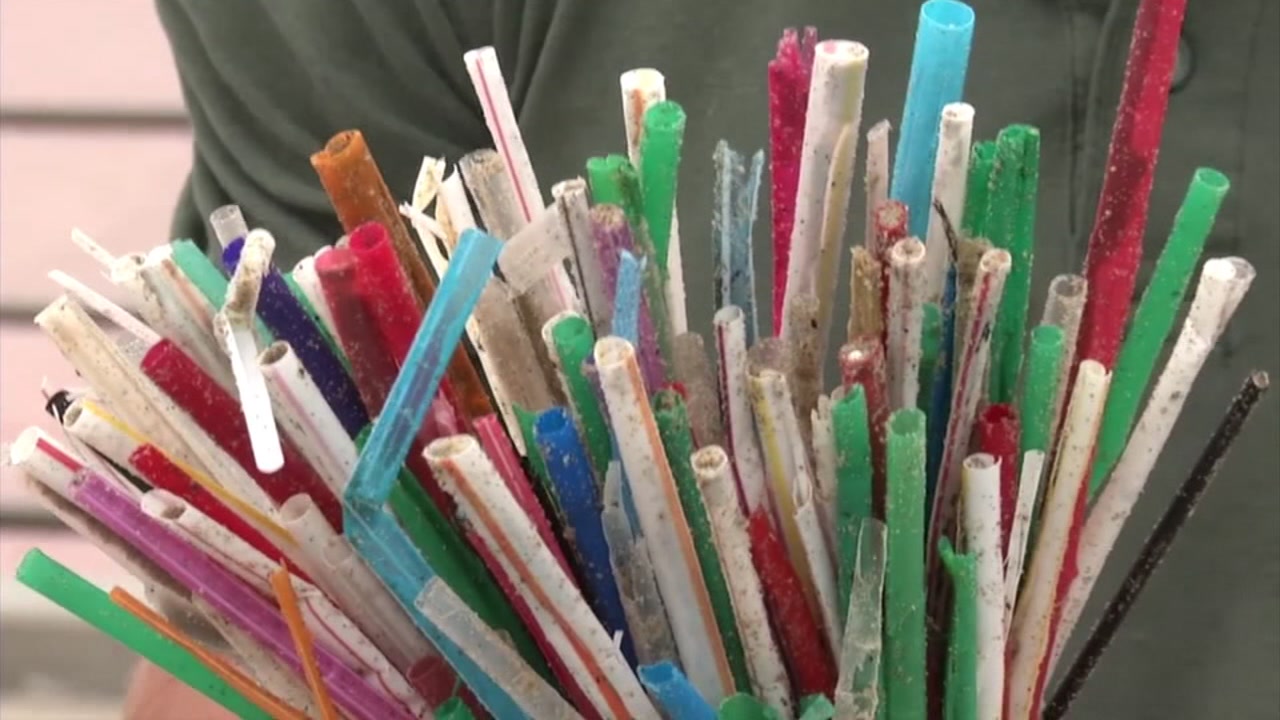 Trump reportedly plans to unleash around 100 executive orders after ... Trump executive order paper straw ban government plastic environment explainer