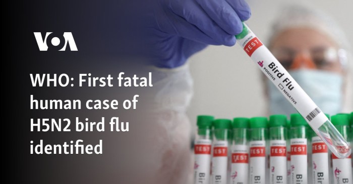 H5N1 bird flu is evolving to better infect mammals, CDC study suggests ... What is h5n9 bird flu
