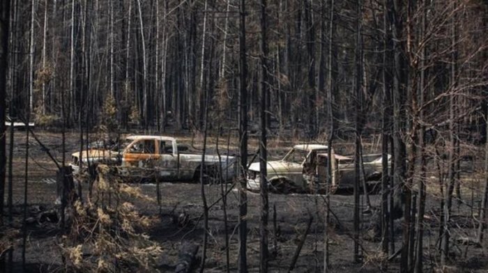 Wildfire roundup: What you need to know about blazes burning across ... Flames falls canadas indigenous wildfire evacuees take refuge niagara