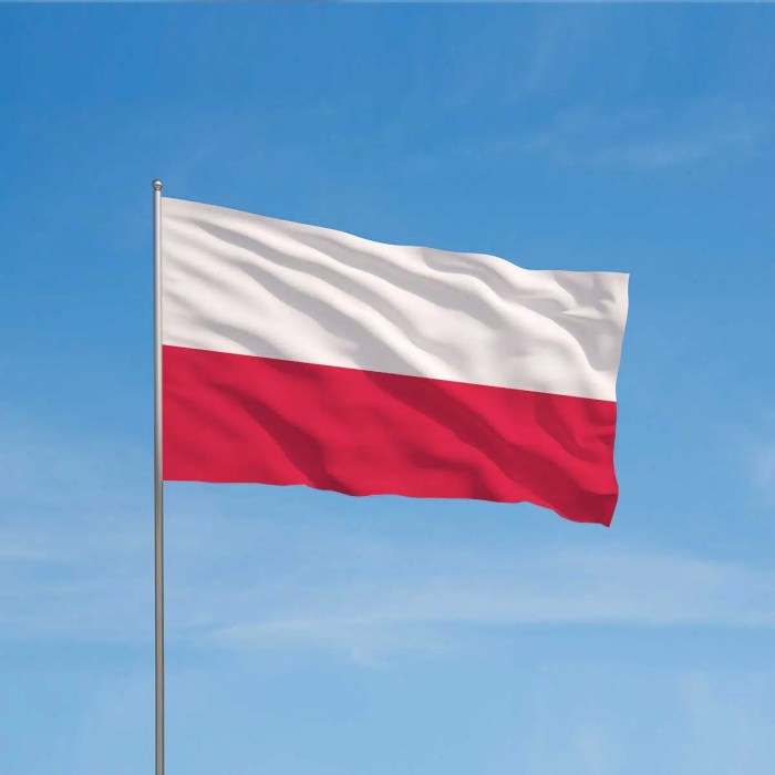 POLISH NATIONAL FLAG DAY - May 2, 2024 - National Today Polish gridlock puts belt tightening efforts risk ratings agencies warn