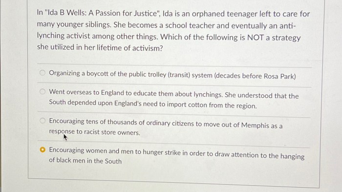 Yours for Justice, Ida B. Wells – Peachtree Publishing Company Inc. Ida b wells care and justice