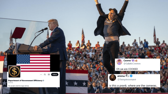 Dogecoin Pumps As Touted D.O.G.E Chief Musk Urges Trump Support Before ... Supreme court doge musk trump