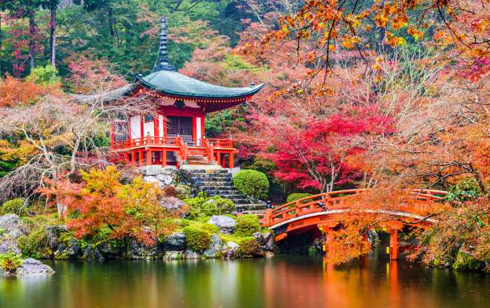 Daigoji Temple | Travel Japan - Japan National Tourism Organization ... Japans four division world champion tanaka retires 29 due eye injuries