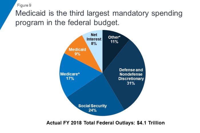 How Funding and Eligibility Cuts to Medicaid Harm Response Efforts to ... The dangers of slashing medicaid