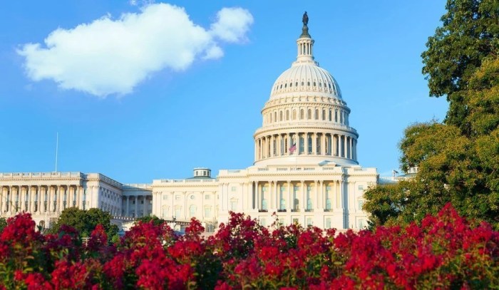 » USA Us transportation chief backs independent audit into dc airspace