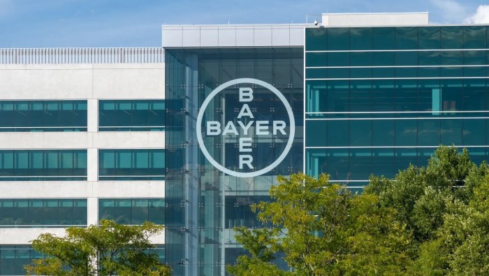 Sopesp - Bayer anuncia Malu Nachreiner como nova líder da divisão ... Leverkusen sign dutch goalkeeper flekken brentford