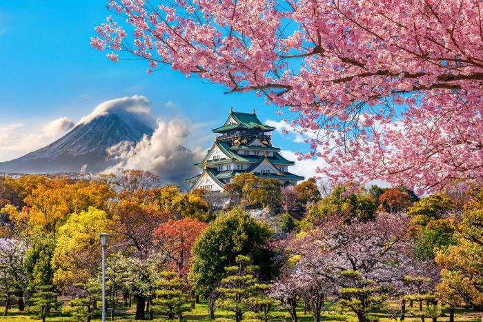 10 Day Ultimate Japan Tour Package - Tourist Journey Japan plans lure us researchers amid trump crackdown