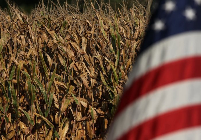 U.S. Corn Ending Stocks - Darin Newsom Analysis Funds finally pause corn selloff focus turns us crop braun