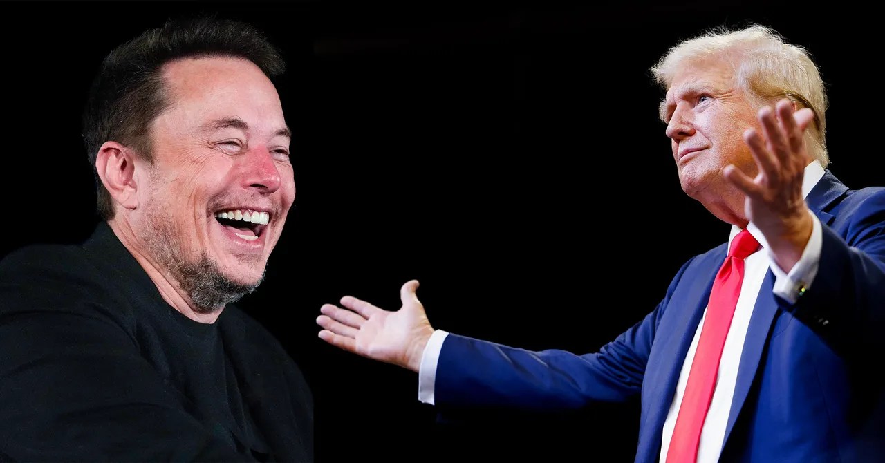 Donald Trump announces 'major interview' with Elon Musk: Here's what to ... Elon musk us government trump