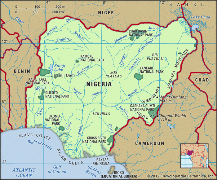 Nigerias defence chief proposes fencing borders curb insecurity