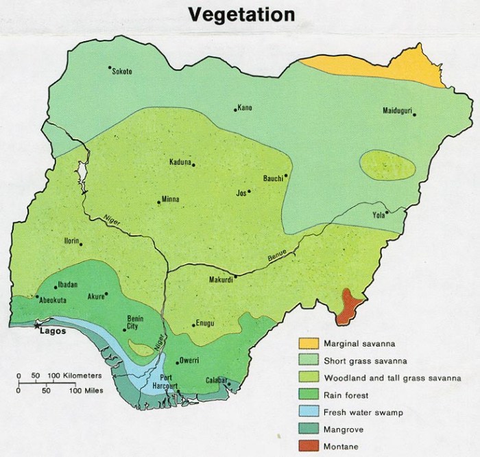 Nigerias defence chief proposes fencing borders curb insecurity
