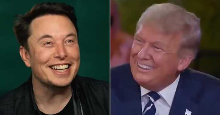 How Donald Trump and Elon Musk's Relationship Soured - Newsweek Bros foes how unlikely trump musk relationship imploded