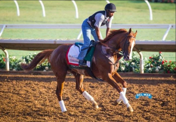 Top 12 Raciest Racehorses in North America The top 10 racehorses of all time according to ai