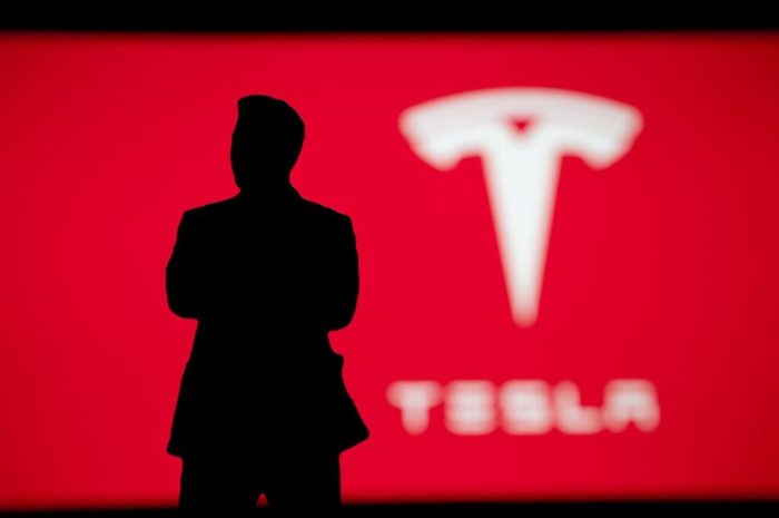 Elon Musk Is Trump’s ‘New Star.’ What Tesla Stock Gains From His ... Tesla stocks musk trump