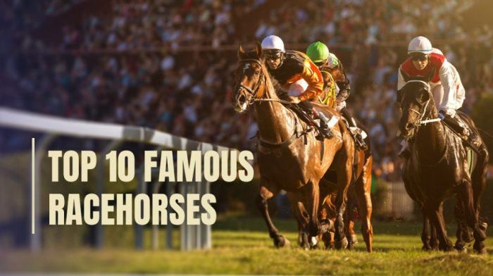 Top 10 Most Famous Racehorses of All Time - 2024 The top 10 racehorses of all time according to ai
