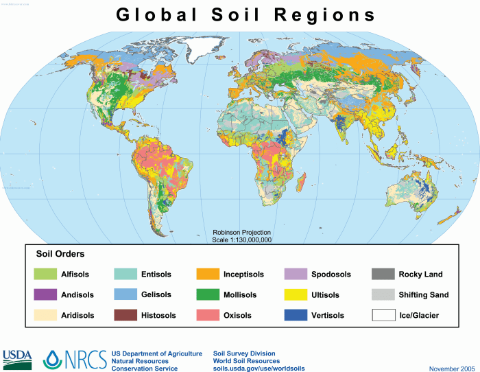 File:USDA soil taxonomy global map.png - Wikimedia Commons Global markets view usa