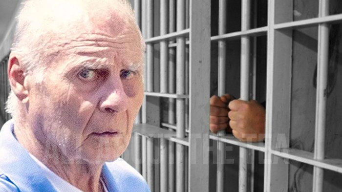 Lawyer tom girardi sentenced 87 months prison wire fraud