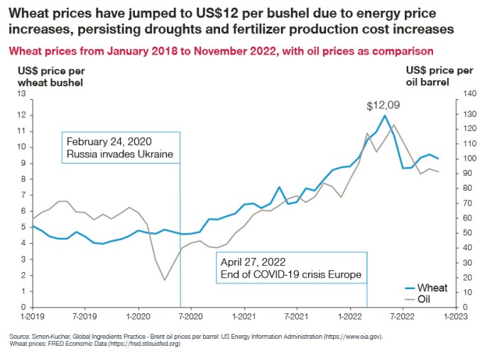Wheat prices likely to remain at high levels Us wheat gets glow up multiyear highs crop health export sales braun