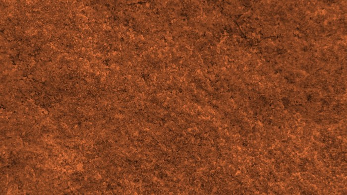 Brown Texture Background Free Stock Photo - Public Domain Pictures Brown brown signs 98 billion deal rival broker accession risk