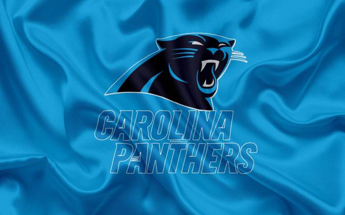Black panthers in Louisiana are a myth, state wildlife official says Panthers d aaron ekblad hand participates practice