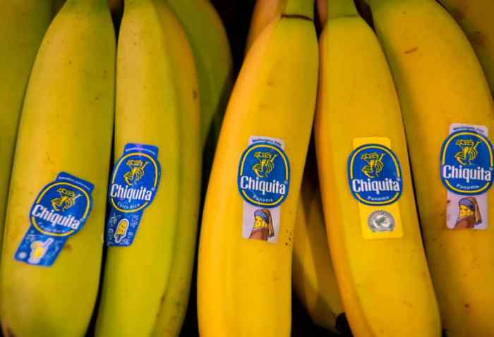 Chiquita Panama lays off thousands of striking banana workers Chiquita panama lay off remaining workers after management leaves country