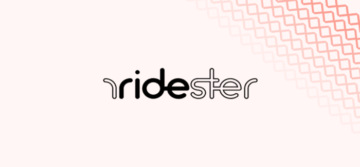 Instacart appoints insider chris rogers ceo