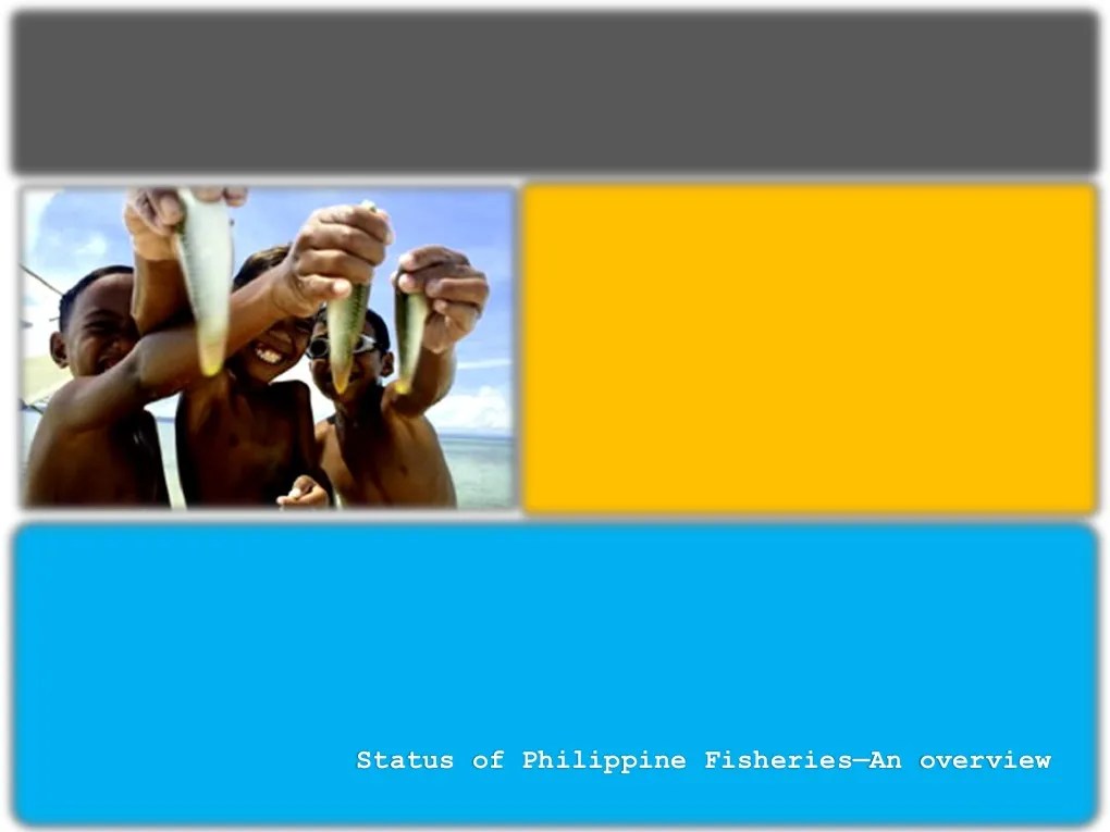 An Overview of the Status of Philippine Fisheries: Challenges and ... Philippines fishing communities rising water