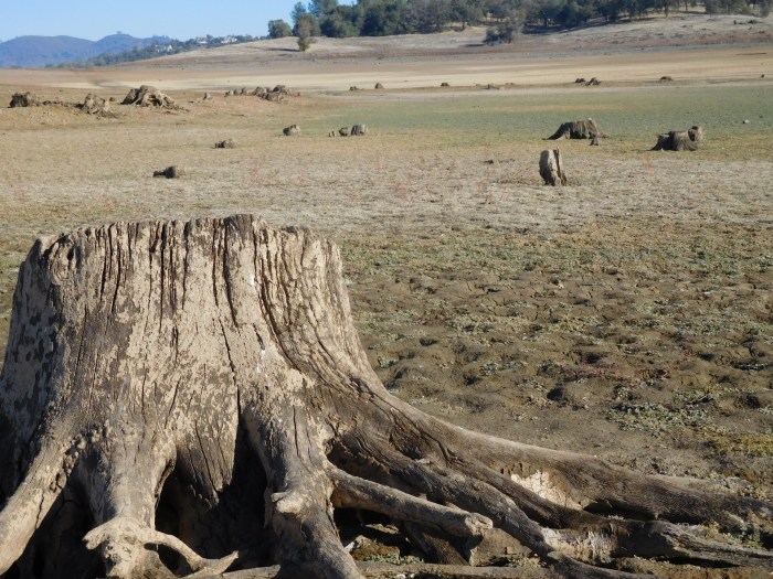 Folsom Lake Drought 62 Free Stock Photo - Public Domain Pictures Drought declared northwest england amid sunniest spring record