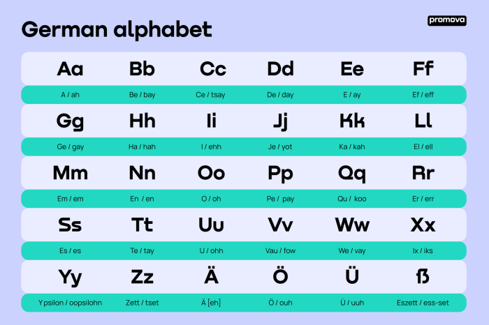 Learn Basic German Language - German Language Basics Guide German foreign minister tells israel allow more aid into gaza
