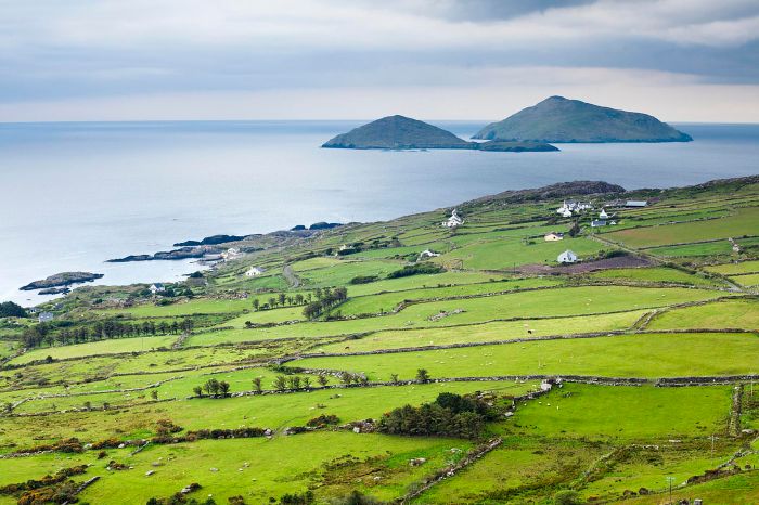 Irish Language and Gaeltacht Irish manufacturing growth continues despite export challenges pmi shows