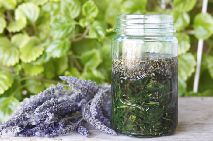 Lavender Flowers And Coconut Oil Free Stock Photo - Public Domain Pictures Oil rises iran russia canada supply concerns