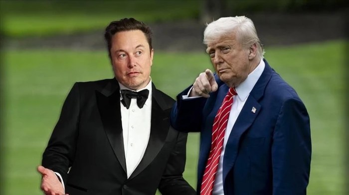 Trump Elon Musk'ı batırmakta kararlı, Tesla sadece bir günde ... Tesla executives questioned musk after he denied killing 25000 ev project