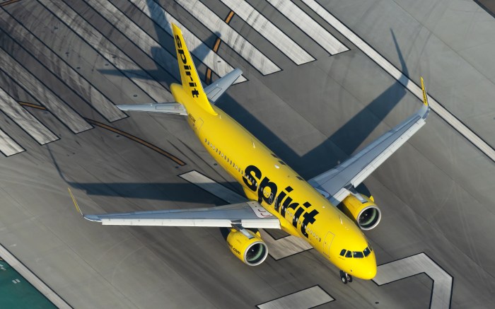 Spirit Airlines Pet Policy 2023: Rules for Dogs, Cats and More Airlines planemakers oppose credit card fee crackdown that could imperil free