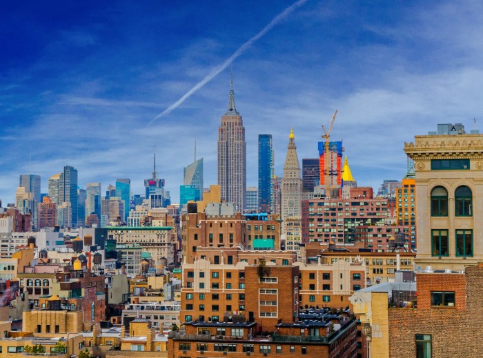 New York Skyline Free Stock Photo - Public Domain Pictures Stead stands down new zealand coach after seven years