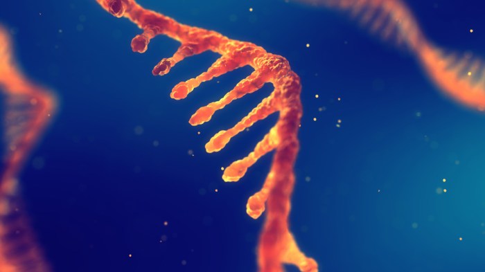 BioNTech looking into taking legal steps against CureVac | Reuters Biontech acquire curevac 125 billion all stock deal