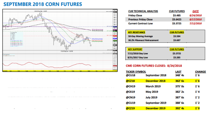 U.S. Corn Futures Weekly Outlook: Bulls Get Sacked - See It Market Funds finally pause corn selloff focus turns us crop braun
