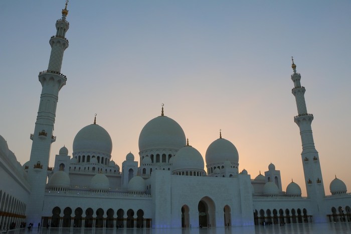 UAE pays m compensation after Sheikh tortures US citizen – Middle ... Uae firm irh buys majority stake congo tin miner alphamin