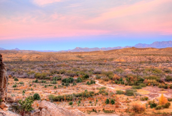 Desert Landscape at Dusk at Big Bend National Park, Texas image - Free ... Warrant immigration raid wrongly sought via judge shopping texas judge says