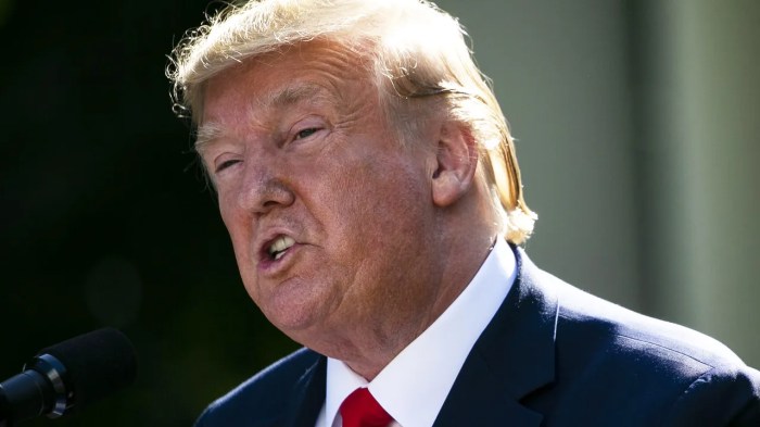 E.U. Pledges to Fight Back on Trump Tariffs as Trade War Looms - The ... Trump tariffs blocked small businesses lawsuit victory