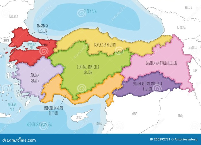Turkey backing syrias military has no immediate withdrawal plans defence
