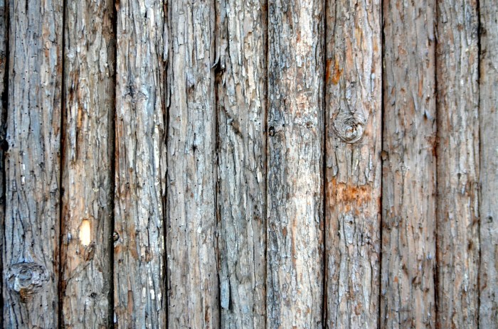Wood Boardwalk Background Free Stock Photo - Public Domain Pictures Wood makes mark england comeback