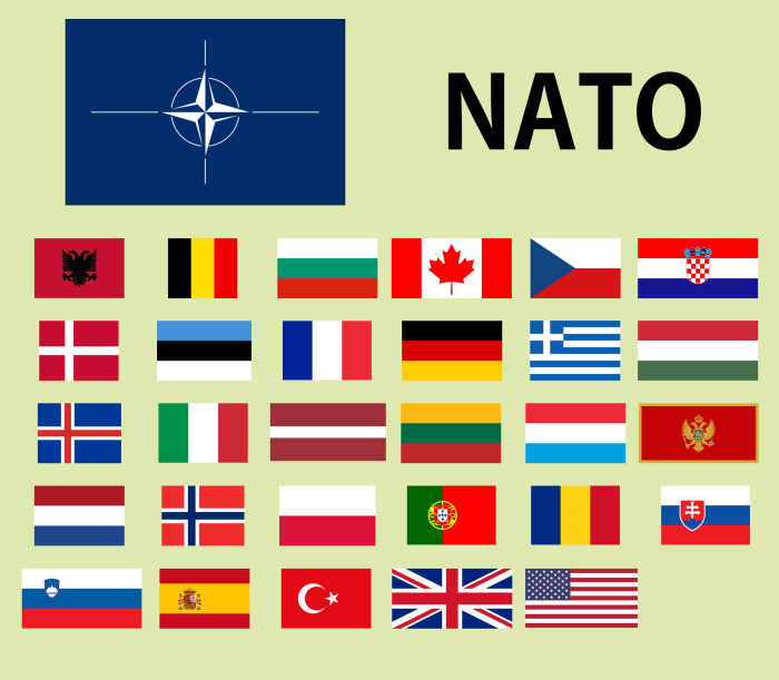 Flags of NATO members : r/nato Natos dilemma how zelenskiy can attend summit without provoking trump