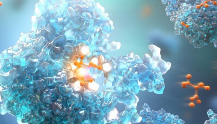 AstraZeneca Reports Positive Data on Breast Cancer Drug Blood test guided treatment with astrazeneca pill cut risk breast cancer
