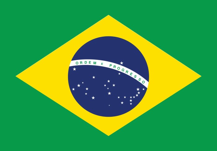 Brazil power co gets ok data center project with tiktok interest
