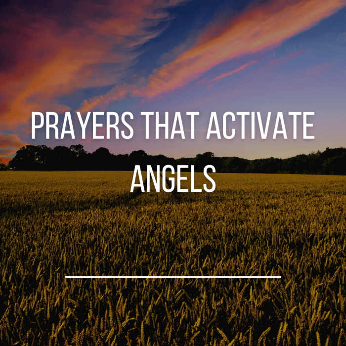 Los Angeles Angels star Mike Trout agrees to record 12-year contract ... Reports angels set activate mike trout friday